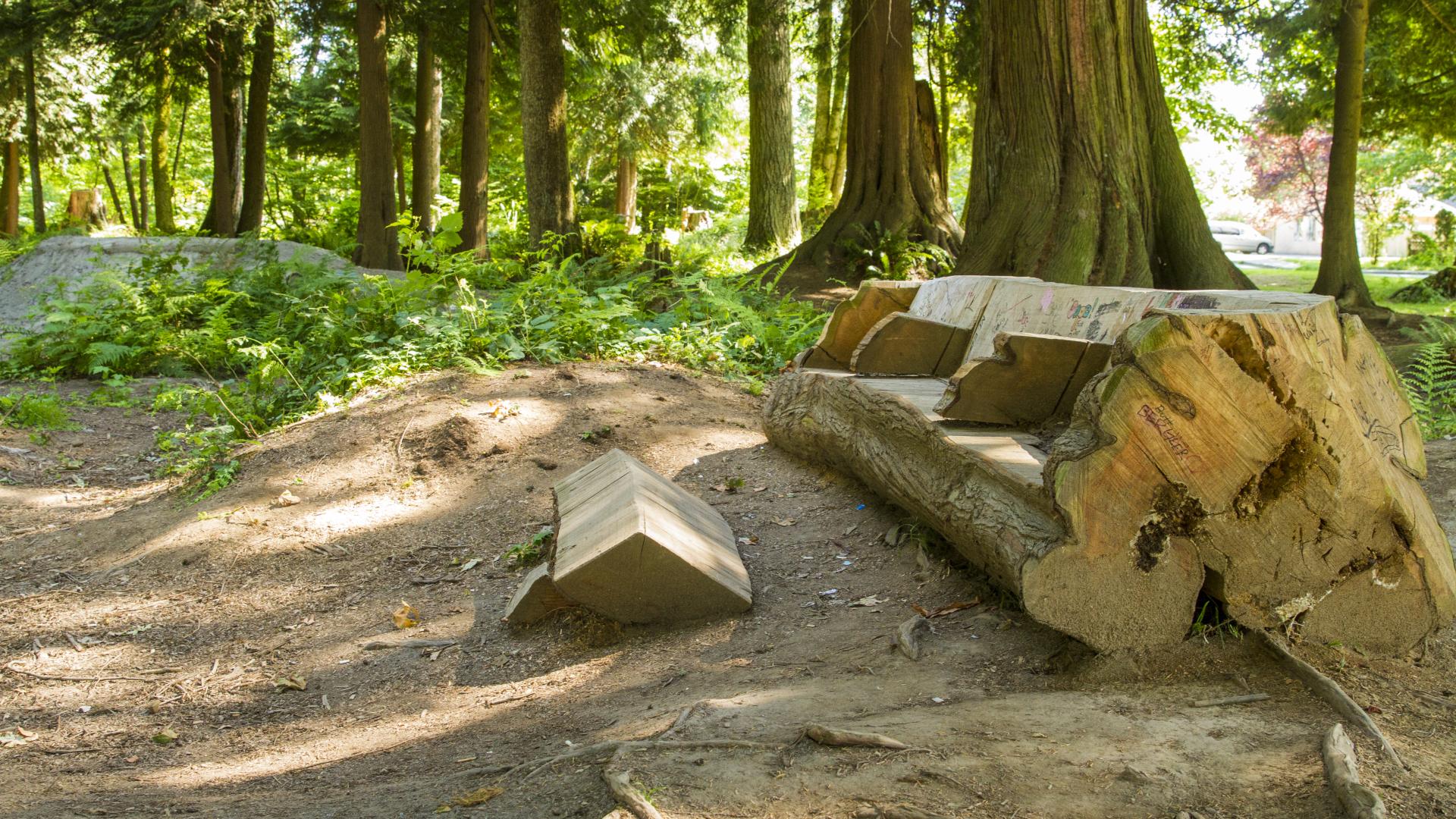 A bench carved out of a large piece of wood in the forest.